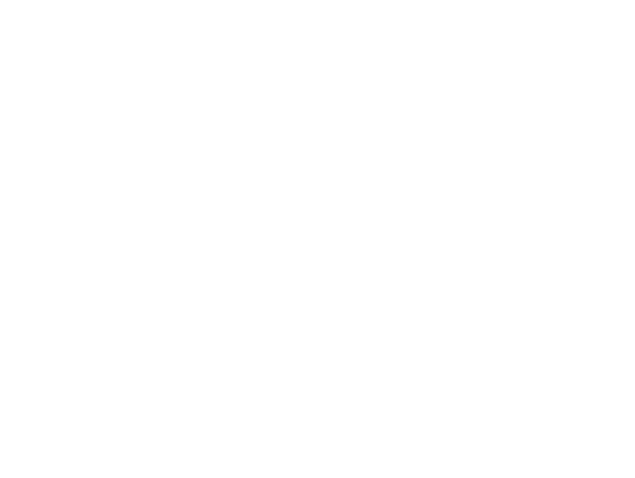 New year new adventures