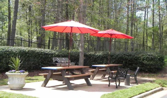 Picnic Area