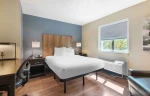 Studio Suite - 1 Queen Bed