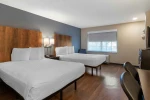 1 Bedroom Suite - 2 Queen Beds