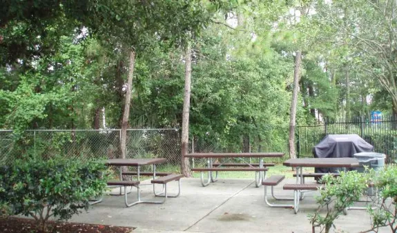 Picnic Area