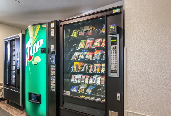Lobby and Guest Check-in