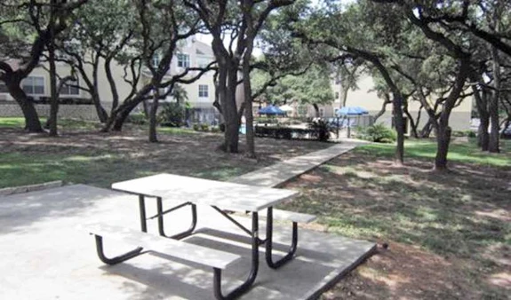 Picnic Area